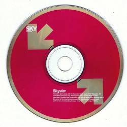 Skyvin - Groove Armada, De La Soul, Oasis, Emiliana Torrini y otros. CD