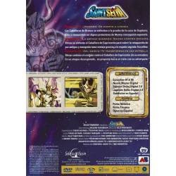 Los Caballeros del Zodíaco. Saint Seiya Vol. 22. DVD