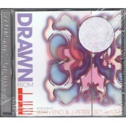Drawn from Life - Brian Eno...