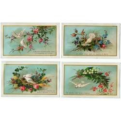 Colección de 4 antiguos cromos litográficos paloma blanca con flores. Principios S.XX