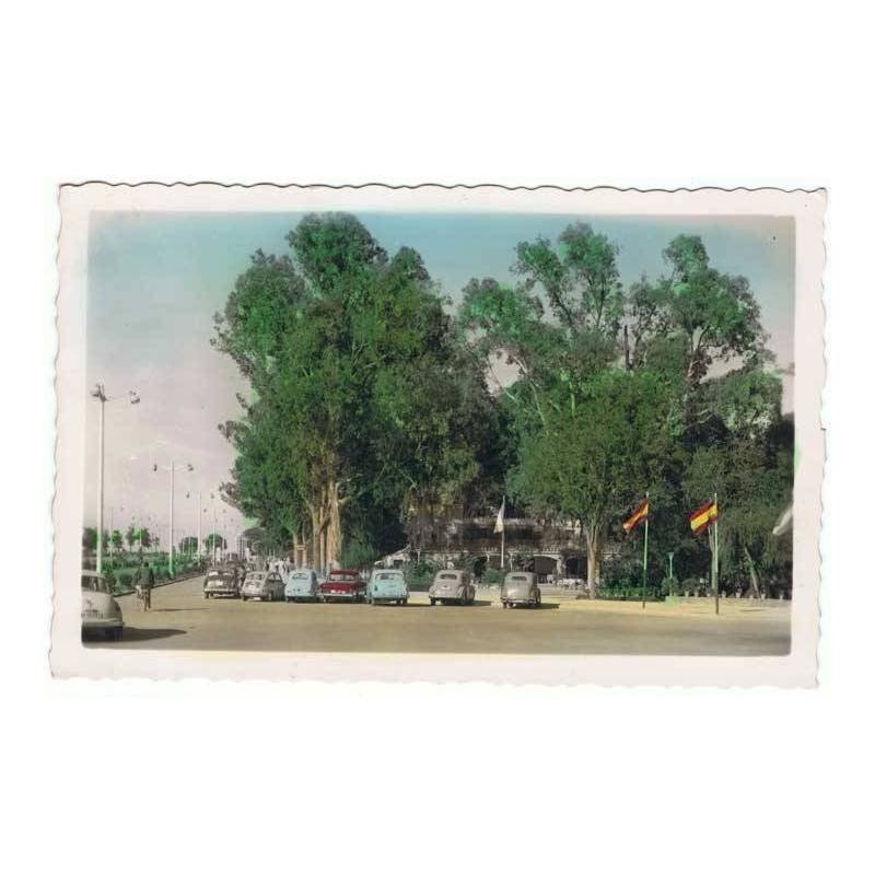 Postal de Jerez de la Frontera, Cádiz. Avenida Alvaro Domecq (El Bosque). Circulada