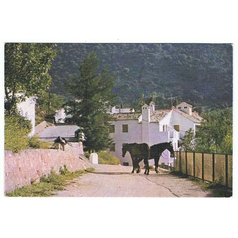 Postal de Benamahoma, Cádiz. Paraíso de la Sierra. La Voz 1981