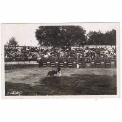 Postal Des toreros Landais,...