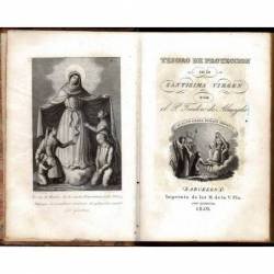 Tesoro de Protección en la Santísima Virgen o estímulos de Amor y Devoción