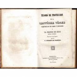 Tesoro de Protección en la Santísima Virgen o estímulos de Amor y Devoción