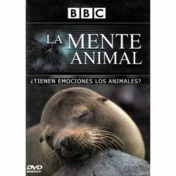 La mente animal ¿tienen...