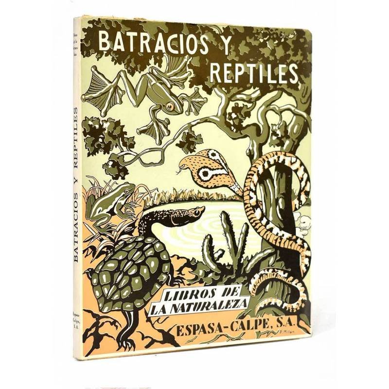 Los Batracios y los Reptiles