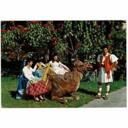 Postal Gran Canaria....