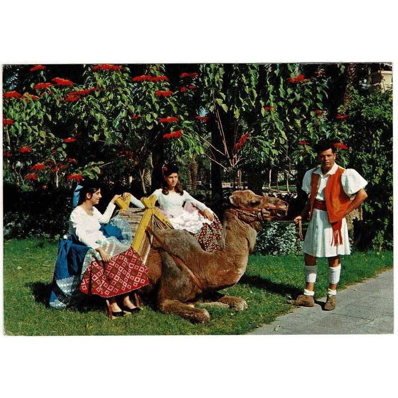 Postal Gran Canaria. Detalle típico No. 1173