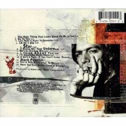 Bryan Adams - 18 Til I Die. CD
