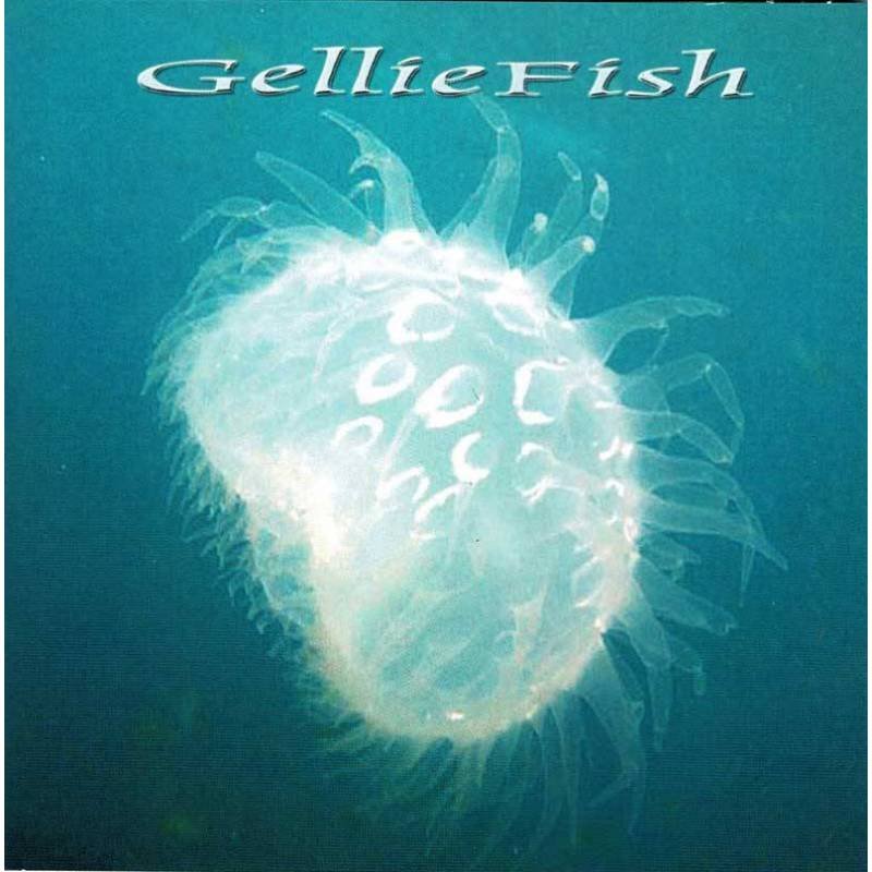 Gelliefish - Don't Let The Sun. CD