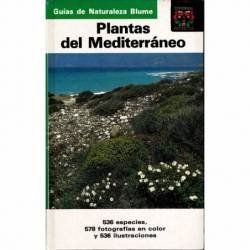 Plantas del Mediterráneo....