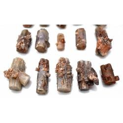 Lote de 15 piezas de Aragonito de Minglanilla