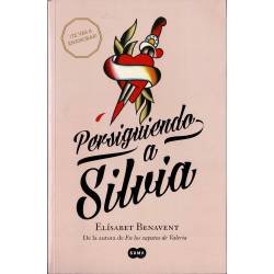 Persiguiendo a Silvia - Elisabet Benavent