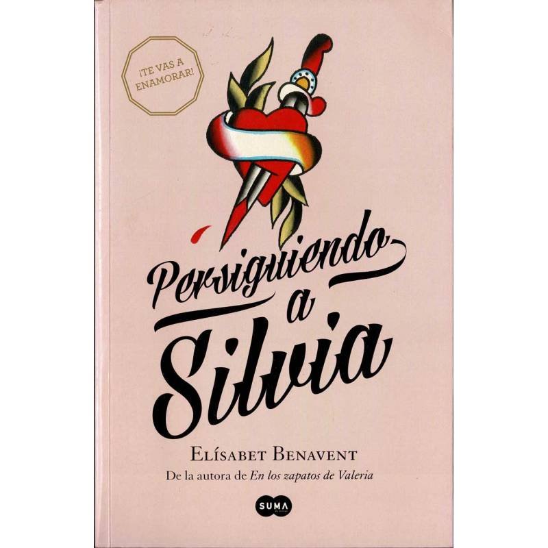 Persiguiendo a Silvia - Elisabet Benavent