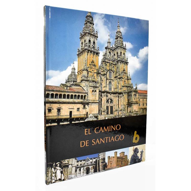 El Camino de Santiago - Miguel Cortés Arrese