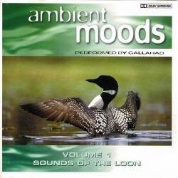 Gallahad - Ambient Moods Vol. 1 Sounds of the Loon. CD