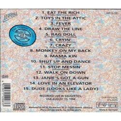 Aerosmith - USA 1994. CD (raro)