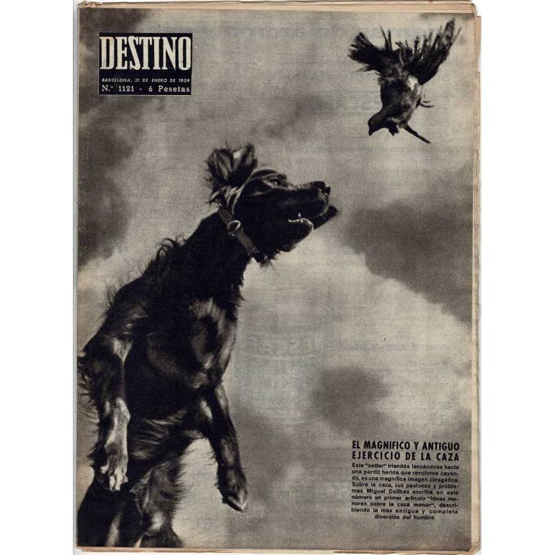 Revista Destino No. 1121. 31 enero 1959. El magnífico y antiguo ejercicio de la caza
