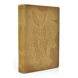 The Yellow Fairy Book -...