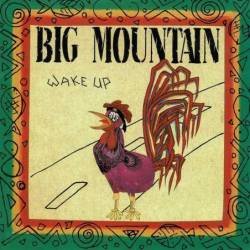 Big Mountain - Wake Up. CD