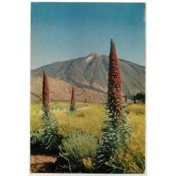 Postal Canarias. Tenerife. El Teide No. 106