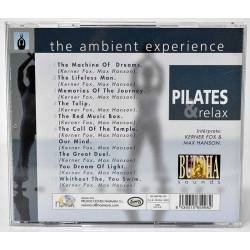 The Ambient Experience. Estuche con 4 CDs