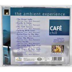 The Ambient Experience. Estuche con 4 CDs