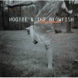 Hootie & The Blowfish - Musical Chairs. CD