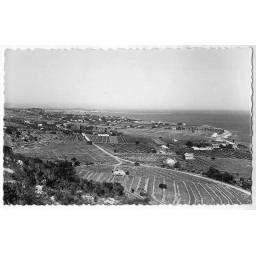 Postal Alicante. Denia. Rotes y carretera de Javea No. 11