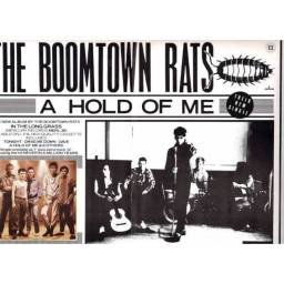 The Boomtown Rats 1985 Tour. Programa gira + entrada + flexidisc