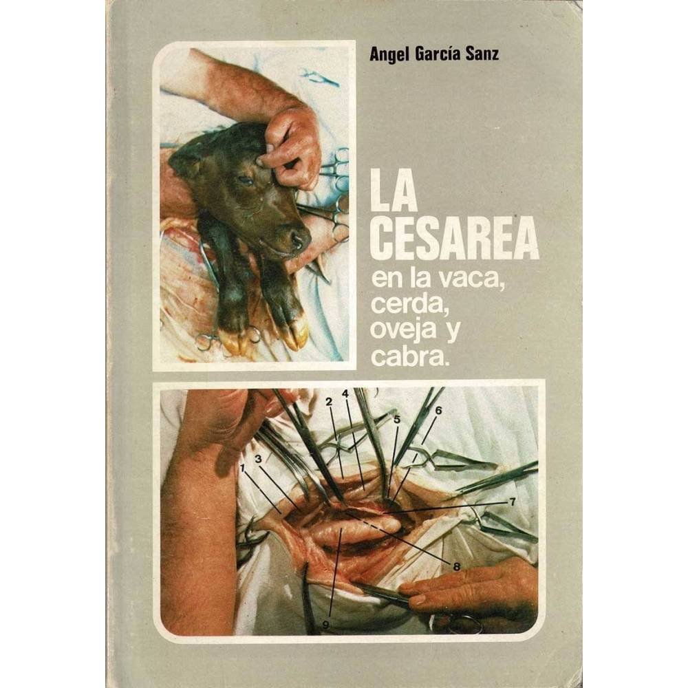 La cesárea en la vaca, cerda, oveja y cabra - Angel García Sanz