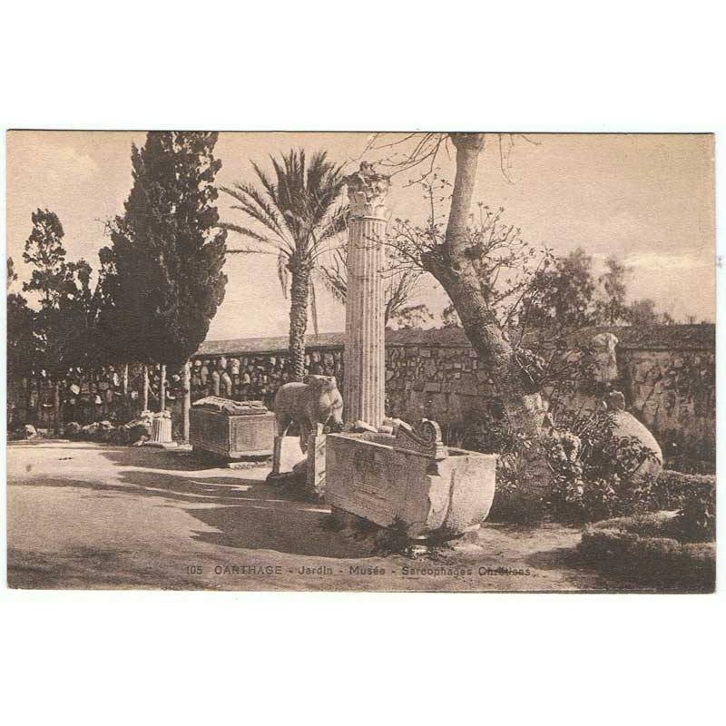 Postal Tunez. Carthage. Jardin. Musée. Sarcophages Chretiens Nº 105
