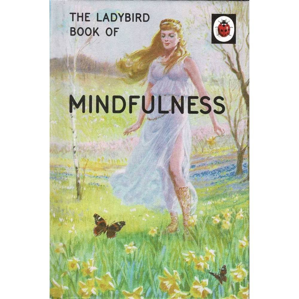 The Ladybird Book of Mindfulness - Jason Hazeley and Joel Morris