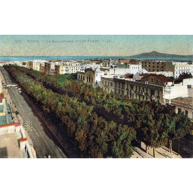 Postal Túnez. Le Boulevard Jules-Ferry. Nº 273