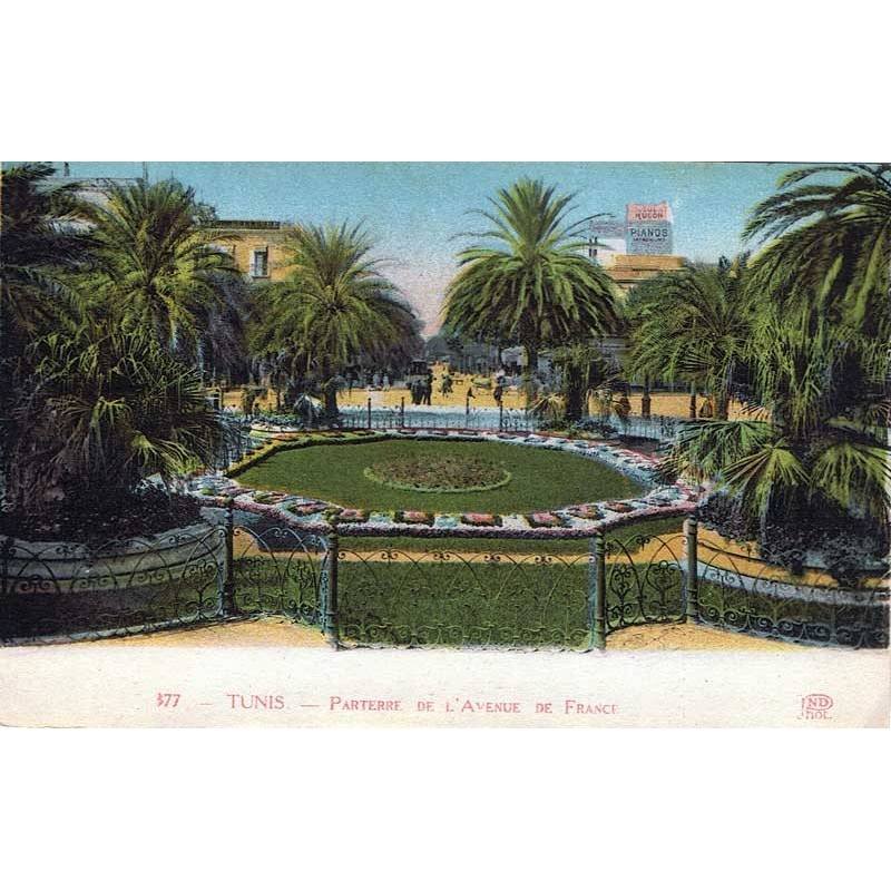 Postal Túnez. Parterre de L'Avenue de France. Nº 377