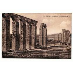 Postal Túnez. L'Aqueduc Romain du Bardo. Nº 134