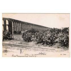 Postal Túnez. Les Aqueducs du Bardo. Nº 218