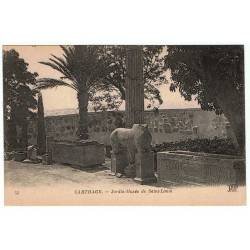 Postal Túnez. Carthage - Jardin-Musée de Saint-Louis. Nº 53