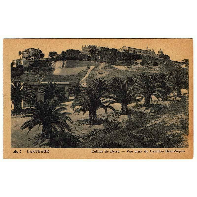 Postal Túnez. Carthage - Colline de Byrsa - Vue prise du Pavillon Beau-Séjour. Nº 7