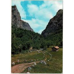 Postal León. Picos de...