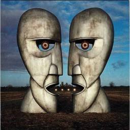Pink Floyd - The Division...
