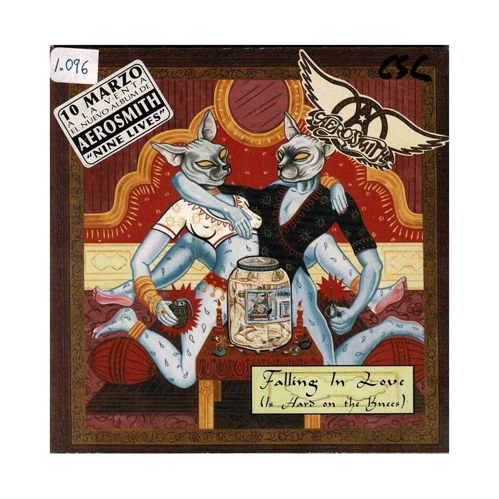 Aerosmith - Falling In Love (Is Hard On The Knees). CD Single