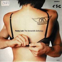 Aerosmith - Young Lust: The...
