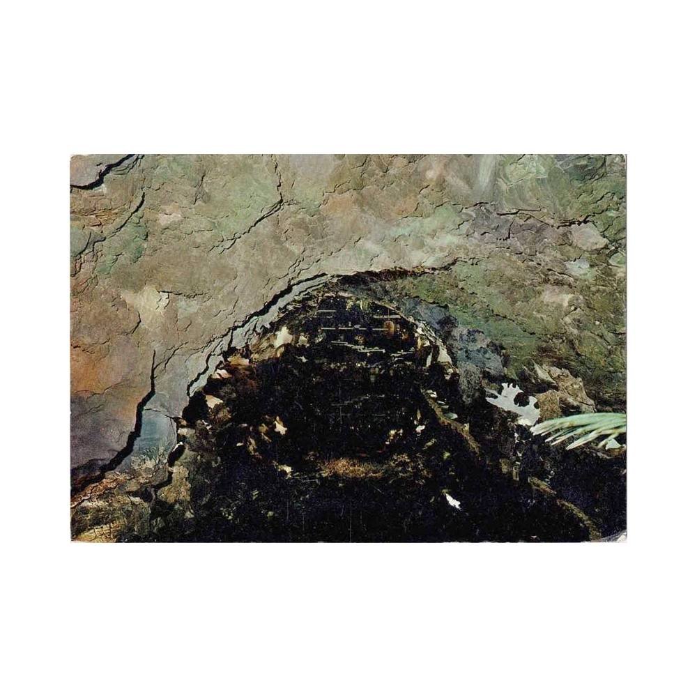 Postal Canarias. Lanzarote. La isla de los Volcanes. Cueva de los Jameos de Agua, Nº 5137