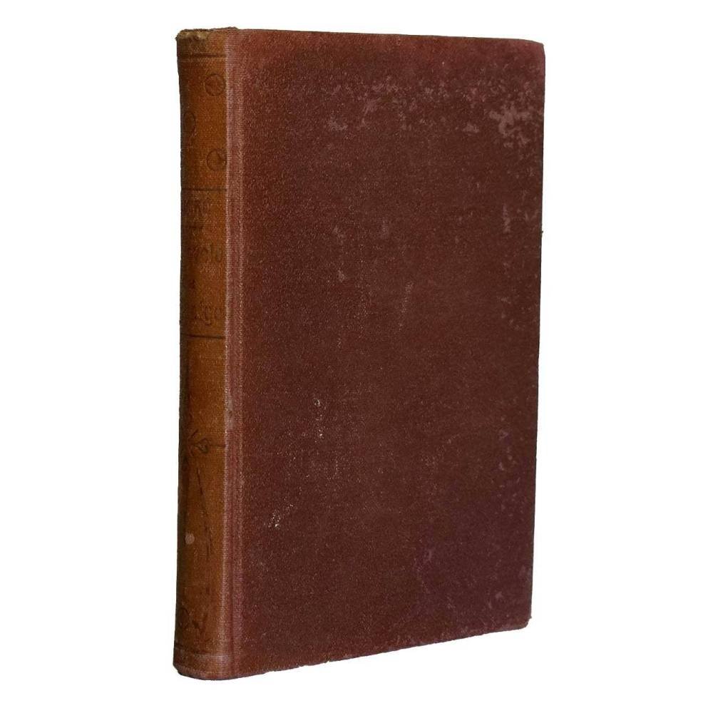 La novela de mi amigo - Gabriel Miró