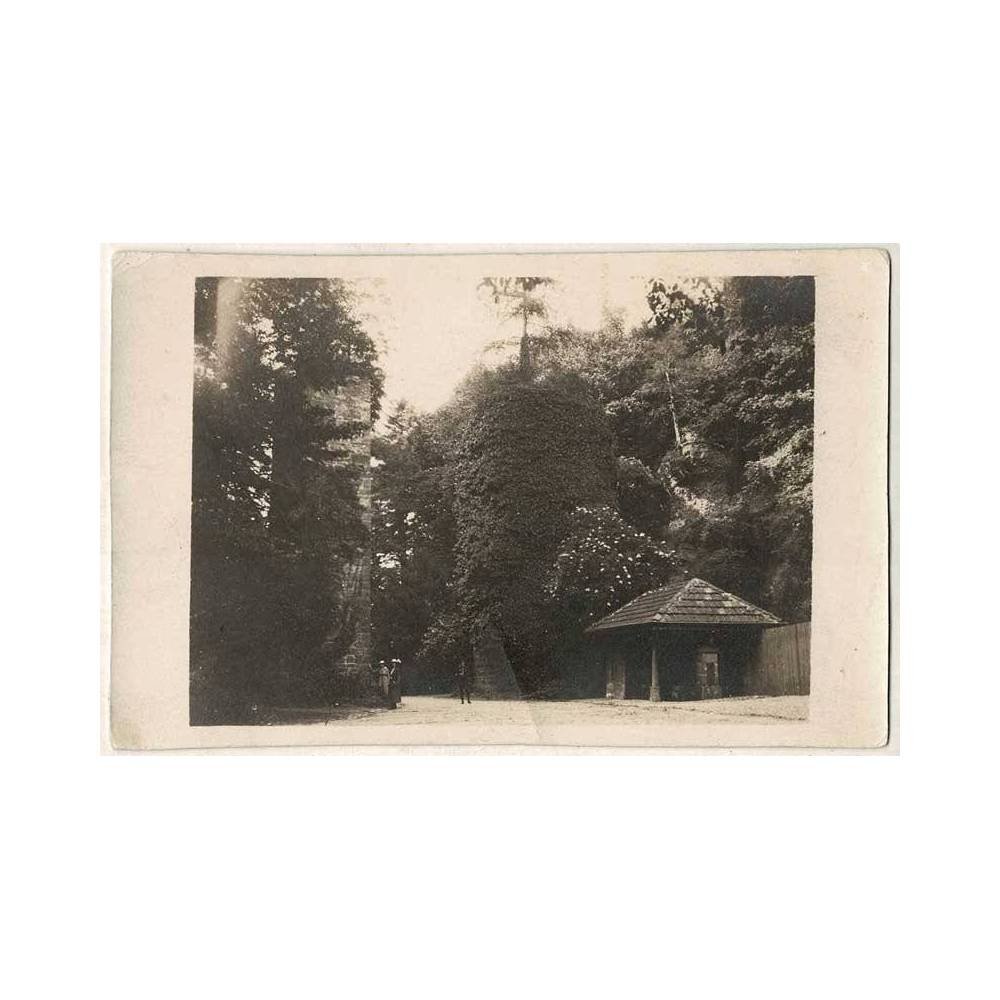 Postal Francia. Vosges Epinal. Le château piliers du passage