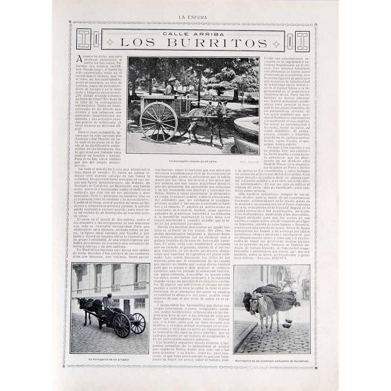 Recorte Revista La Esfera 1916. Los burritos