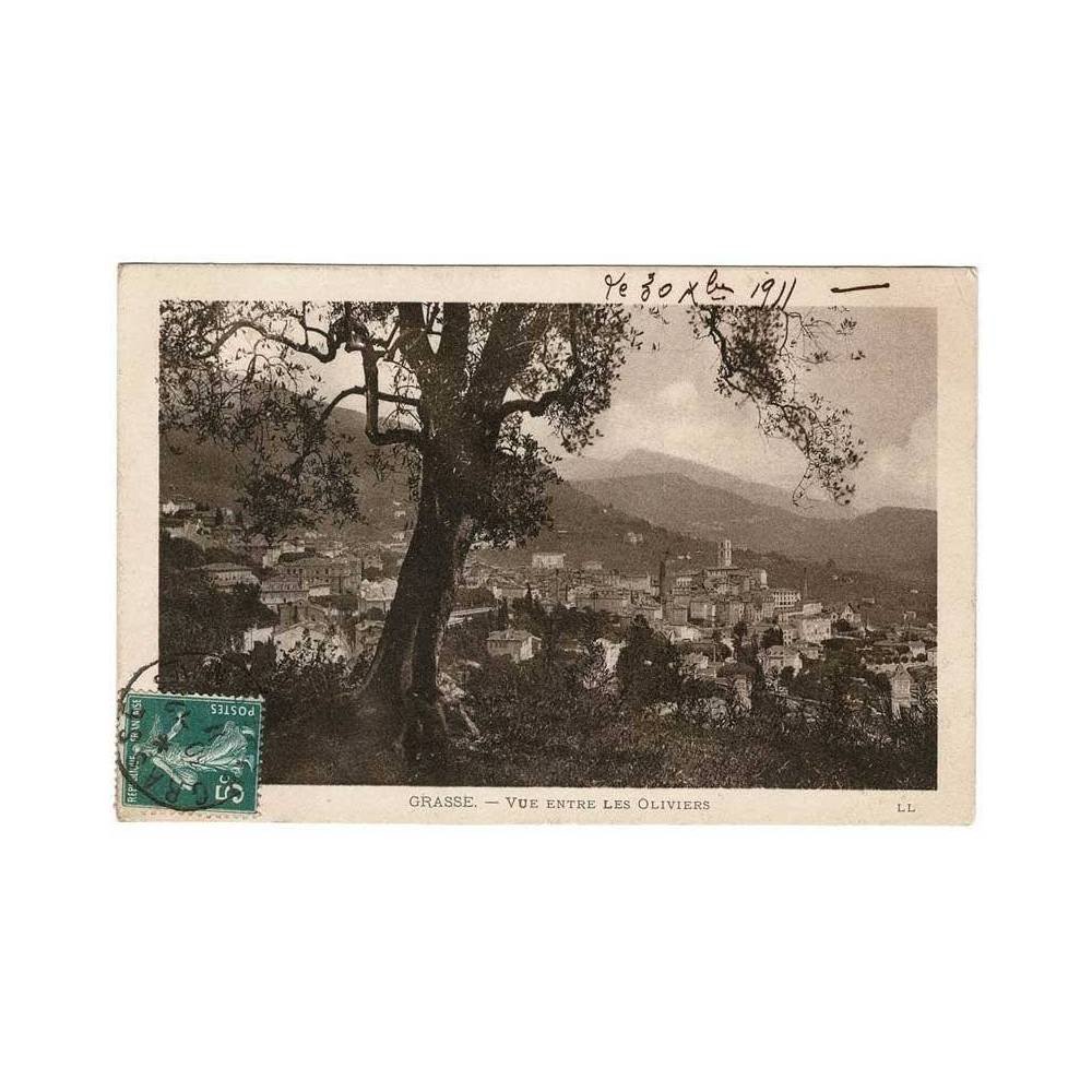Postal Francia. Grasse. Vue entre les Oliviers