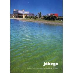 Jábega. Revista de la Diputación Provincial de Malaga Nº 69. 1990. La industria en Málaga